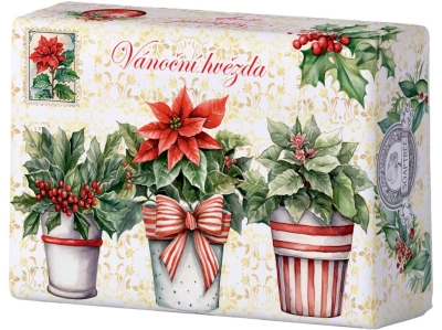 MÝDLO PŘÍRODNÍ VÁNOČNÍ HVĚZDA 200G